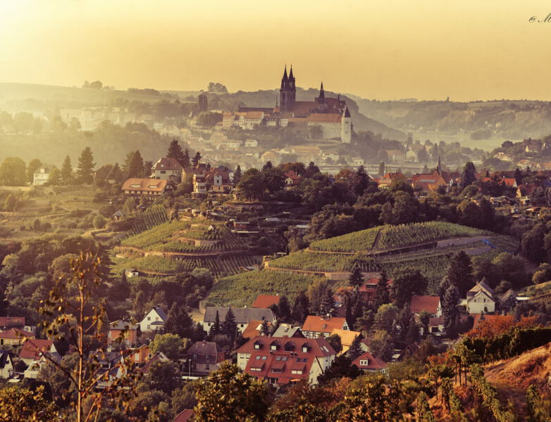 Meißen Albrechtsburg Juchhöh  (MATE Theme für Contao)